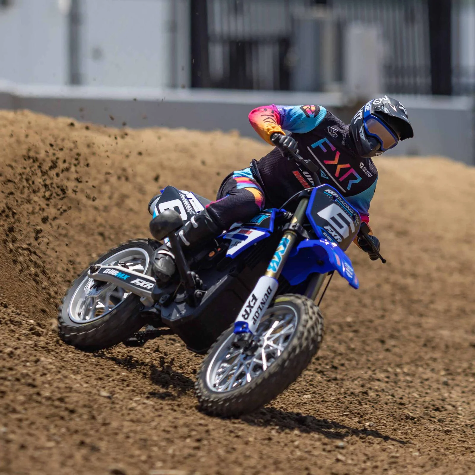Moto RC Losi 1/4 Promoto-MX Motorrad RTR, Club MX LOS06000T2 bleu - Image 7